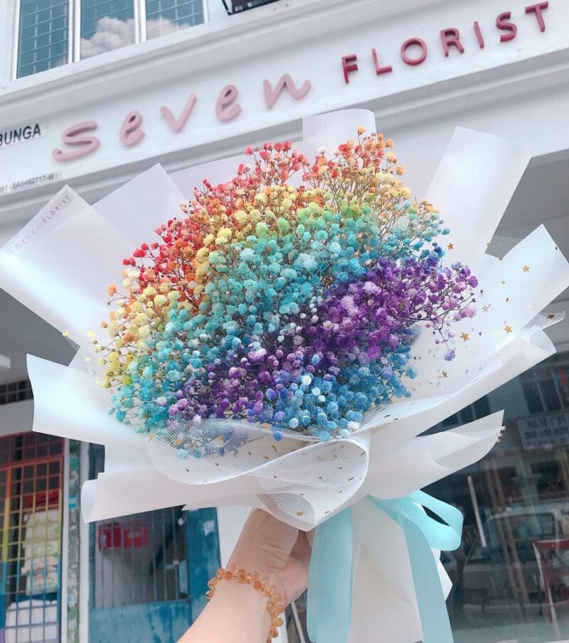 seven florist rainbow baby breath1