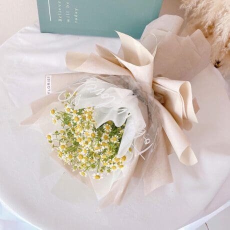 seven florist chamomile 01a