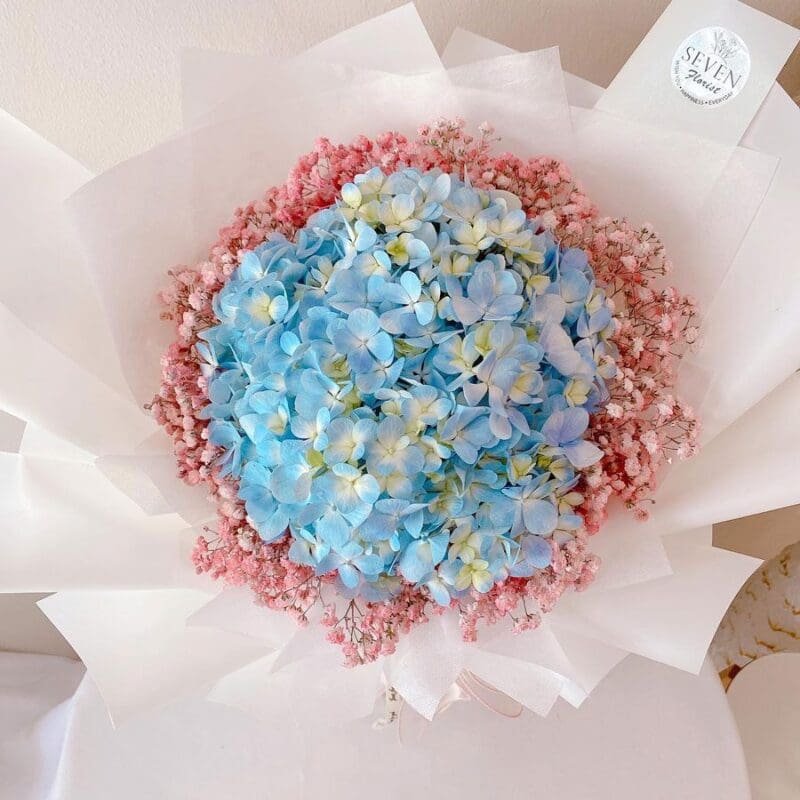 seven florist hydangea blue 03c