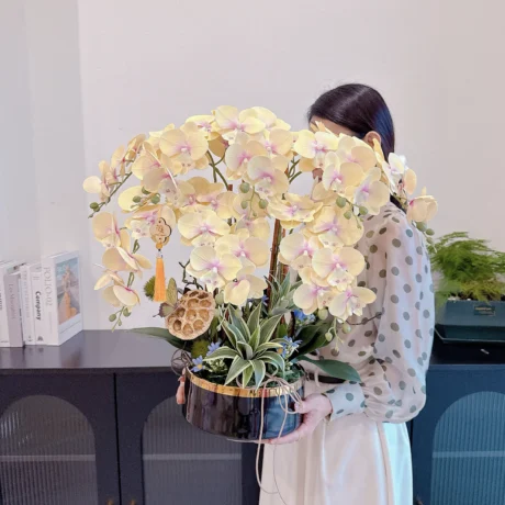 seven florist A House Full of Orchids & Blessings a 01