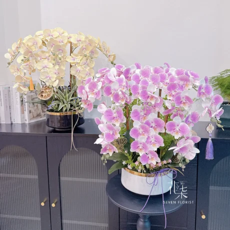 seven florist A House Full of Orchids & Blessings a 03