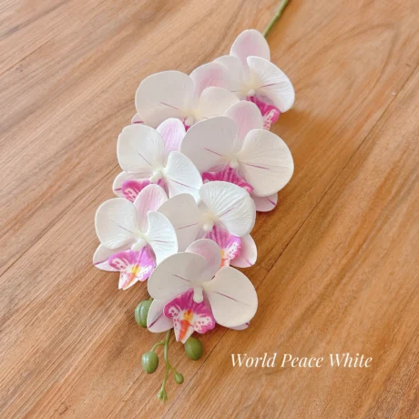 seven florist A House Full of Orchids & Blessings a 09