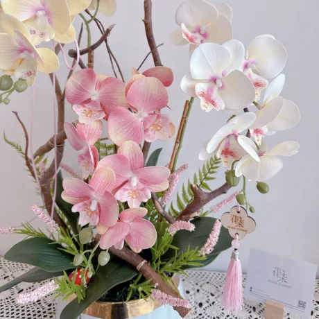 seven florist orchid grace b 01