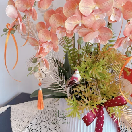 seven florist orchid whispers of spring b 01