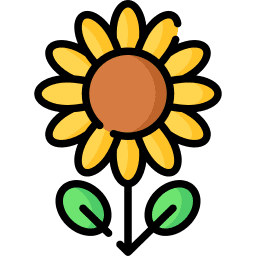 sunflower icon