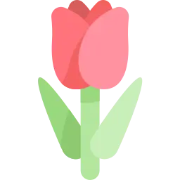 Tulip-Flowers